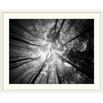 Straub, reproduction de photo