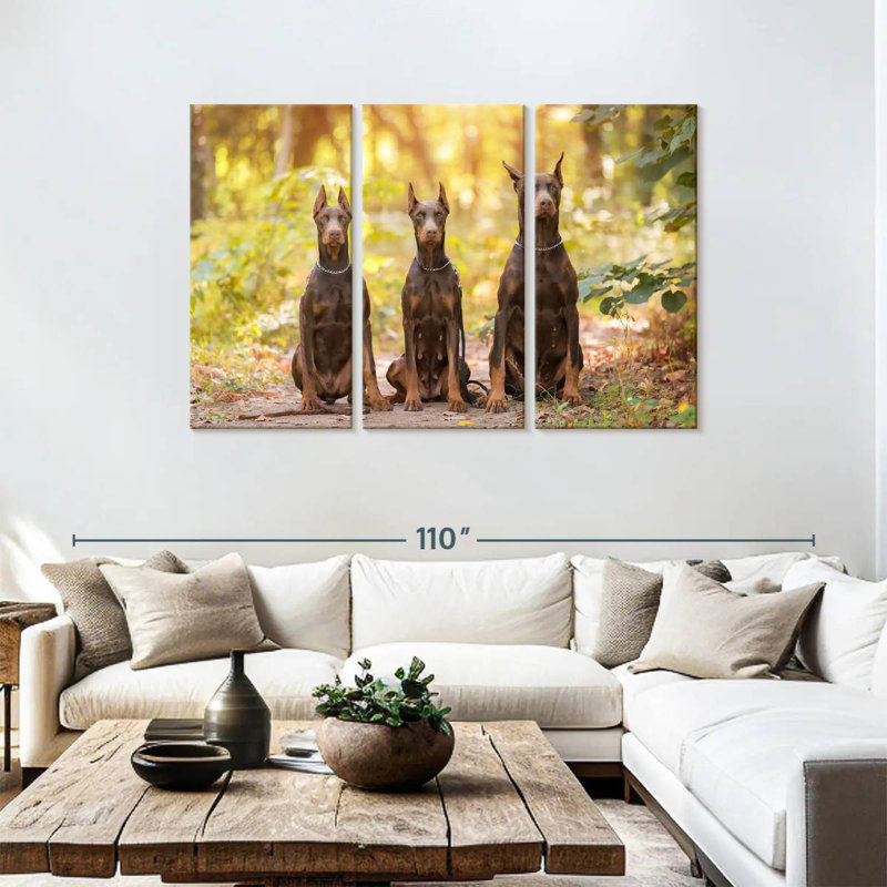 Doberman pinscher de Brampt, H 48 po x l 74 po