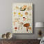 Mushroom Species douzième - galerie Cavas sur mesure-1096680437