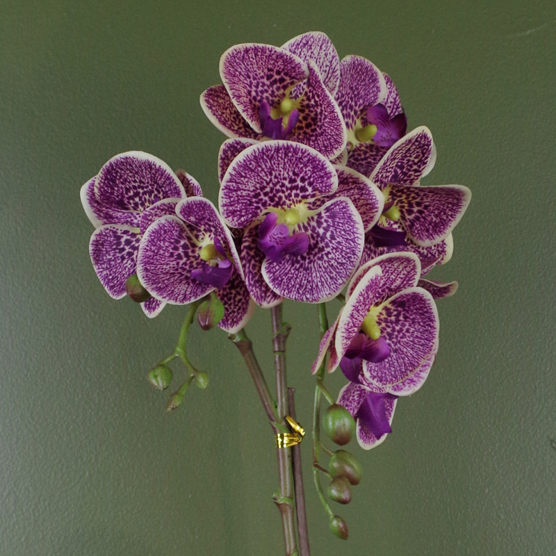Plastic, Silk Artificial Arrangement in Pot, Purple