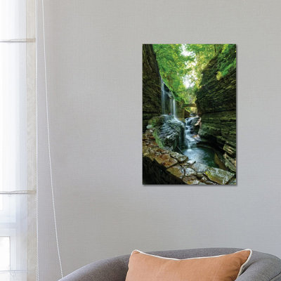 " Rickets Glen " by David Gardiner
