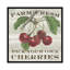 « farm cerises », impression sur toile tendue-19754422-74875914-74875915