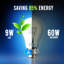A60 LED B22 Bayonet Cap 5W Bulb-130793391