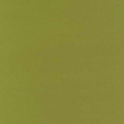 Botticelli Silk Taffeta Fabric