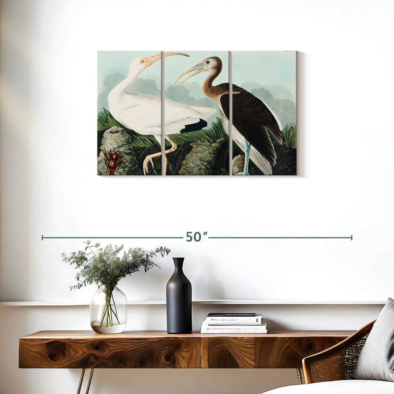 Brampt White Ibis, 20" H x 33" W