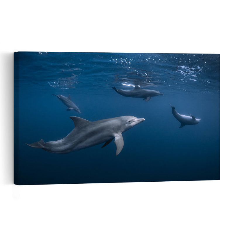 Dolphins In Deep Blue Contemporary Dolphin Wall Art Print 1 Piece Wrapped Canvas Wall Art, 30.48cm H x 45.72cm W