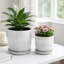 Jardinières d'extérieur modernes avec soucoupe pour la décoration intérieure et le salon - Pot de fleurs d'intérieur texturé pour le patio - ensemble de 2, 6 po, 5 po-190956391-231504218