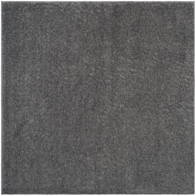 Bertjan Dark Grey Area Rug