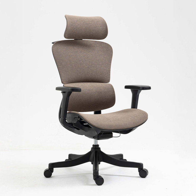 AeroErgo Ergonomic Mesh Office Chair with Adjustable Headrest and  Armrest, Black, Brown