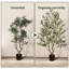 Faux Asotin with Realistic Branches,Leaves & Fruits, Artificial Asotins for Home Decor-1374190443