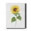 Sunflower II - Wrapped Canvas Painting-540635483