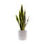 Faux Plant in Ceramic Planter