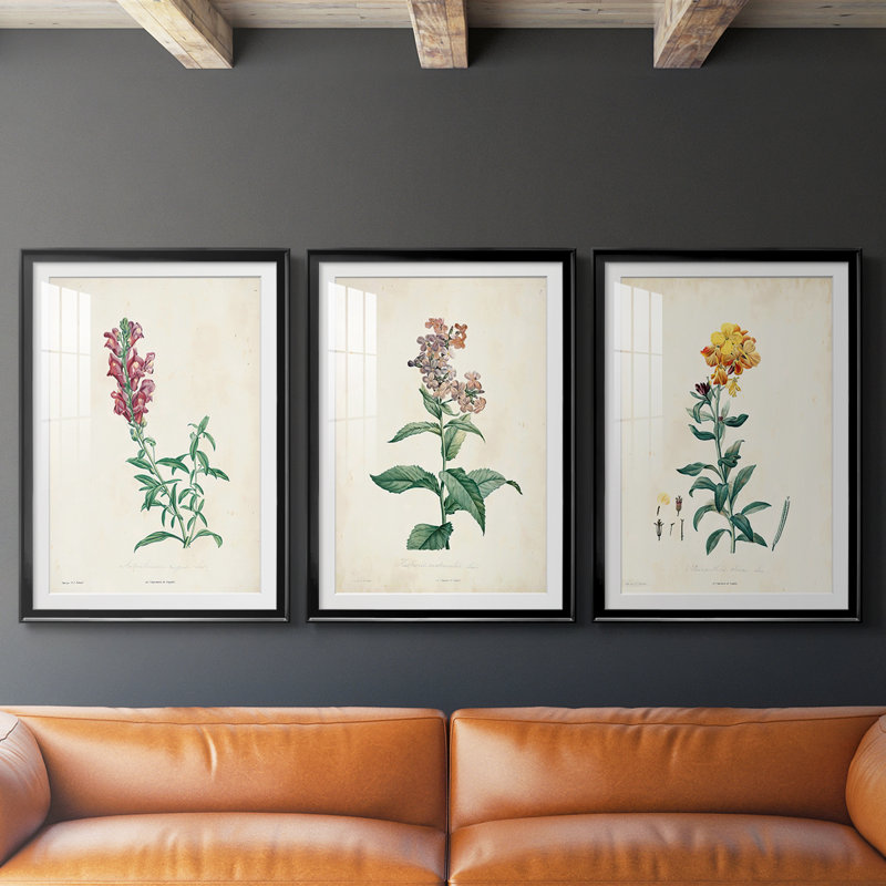 Traditional Botanical I - Impression personnalisée de qualité supérieure avec cadre mat - 3 pièces, H 21 po x l 30 po