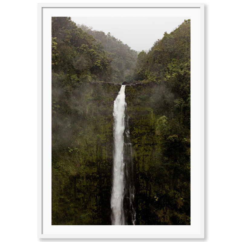 Akaka Falls Print by Carly Tabak, White Wood, 26" W x 36" H