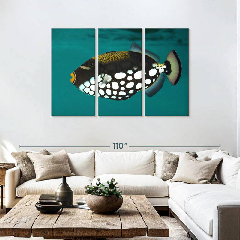 Brampt Clown Triggerfish Pet, H 48 po x l 74 po