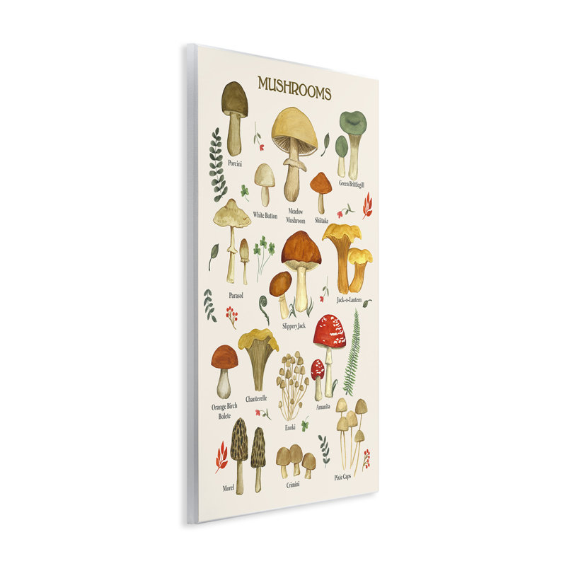 Étude sur les champignons en quête de nourriture par Sharon Lee - impression sans cadre sur panneau de fibres à densité moyenne