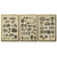 Study of Shells I - Ensemble de 3 reproductions encadrées sur toile-97945967-97945968