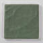 Harvest 4"x4" Greens Gloss Glazed Ceramic Wall Tile-114625385