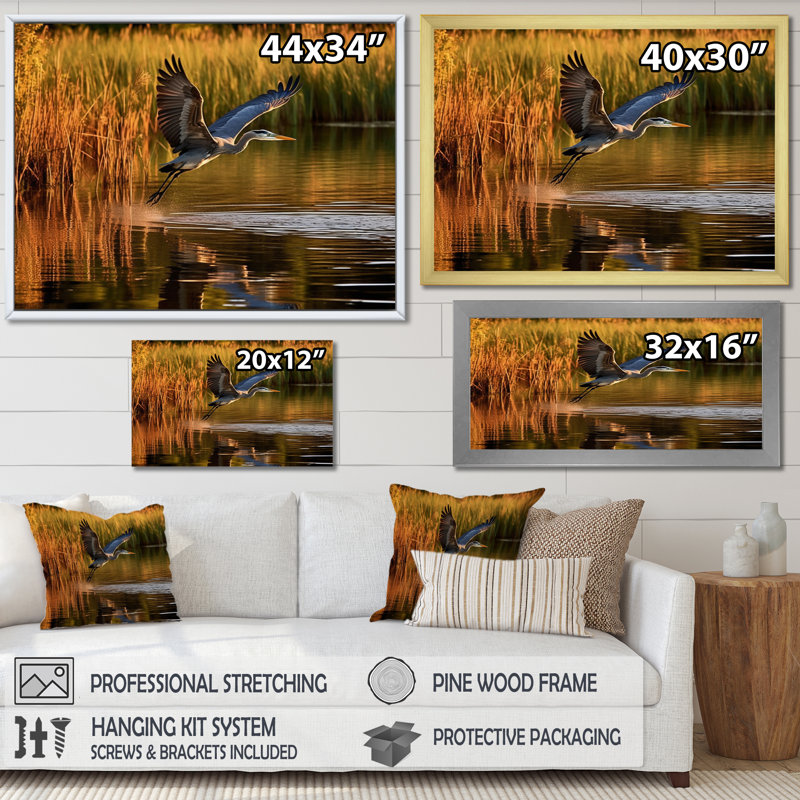 Heron In Delaware Lakes sur impression sur toile, Cadre flottant noir, H 16 po x l 32 po x P 1 po
