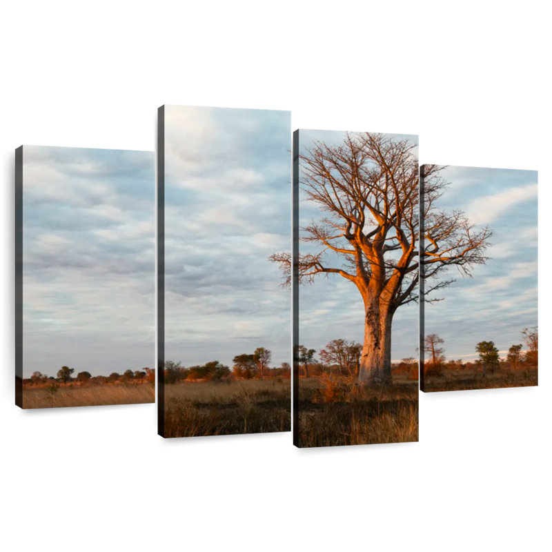 Harnek Zambian Baobab Tree