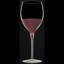 Magnifico Wine Glasses (Set of 4)-588256592