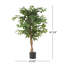 47 po Ficus artificiel-1362479985