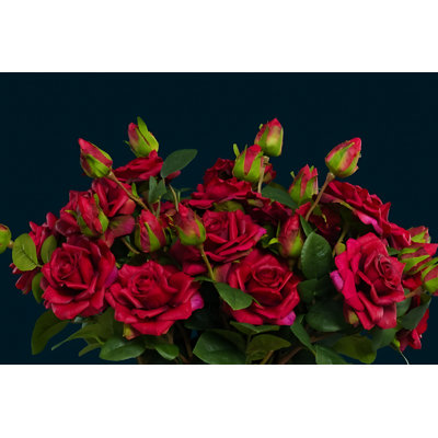 Rose Arrangement