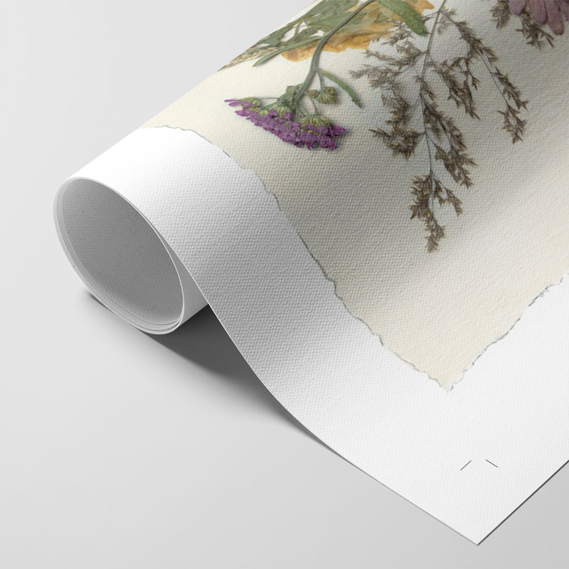 Organic Bouquet I - Impression sur toile seulement - NON-CADRE, H 36 po x l 24 po
