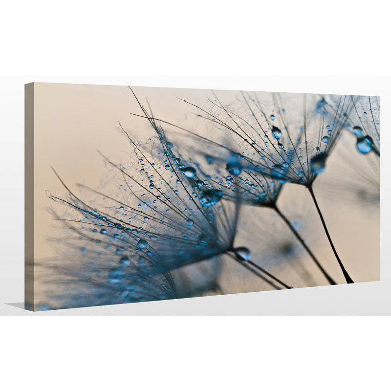 «Flower Water Droplets», reproduction de photo sur toile tendue, H 18 po x l 30 po x P 1 po