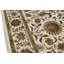 Oriental Area Rug