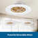 Maeliyah Ceiling Fan with Light Kit