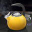 Chantal Anniversary 2 qt. Enamel on Steel Stovetop tea kettle-1789707796
