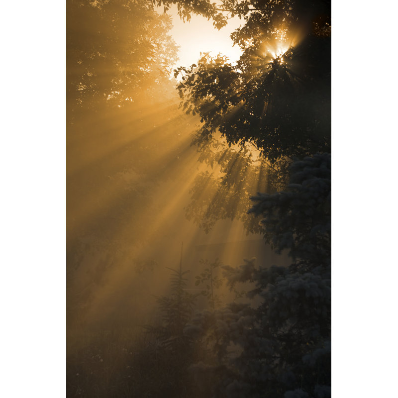 «Misty Morning Sunrise» par Jamesbrey, H 48 po x l 32 po