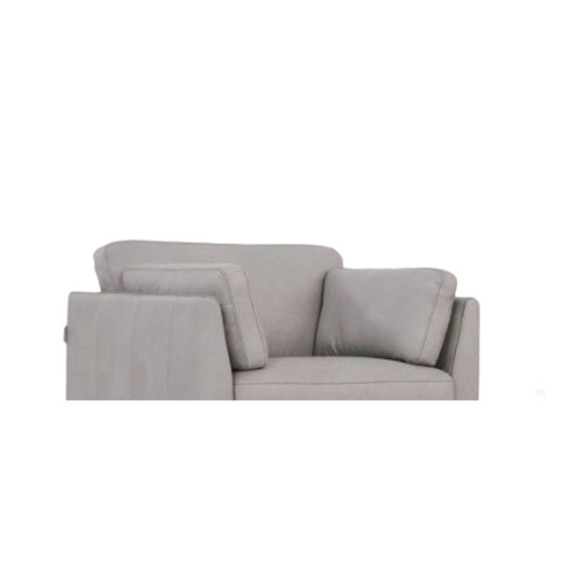 Fauteuil en cuir (assemblé)