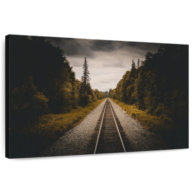 Train Track To Denali