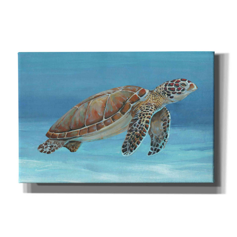 «Ocean Sea Turtle I» par Tim O'toole, art mural sur toile, H 40 po x l 60 po x P 1,5 po