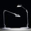 Element Vision 22" Desk Lamp-314392936
