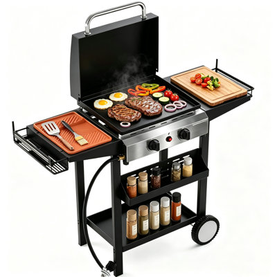 Propane Griddle with Wheels & Hood&Detachable cooktop