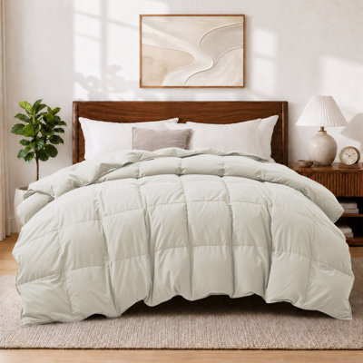 All Season Down Feather Fiber Comforter with Polyester-Nylon Cover