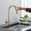 Belfry Kitchen Serita Pull Out Kitchen Faucet