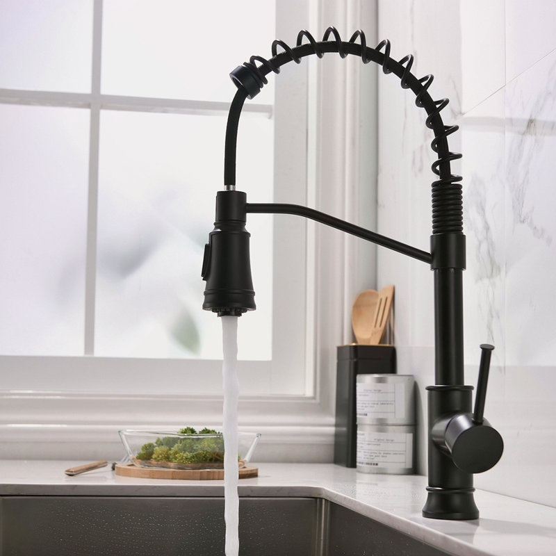 Robinet de cuisine avec douchette extractible et robinets d'évier de cuisine à poignée simple en acier inoxydable noir