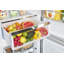 Réfrigérateur classique à congélateur inférieur de 11,7 pieds cubes sans givre 23,6 po Classic Energy-62830126