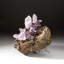 Amethyst from Piedra Parada, Las Vigas De Ramirez, Veracruz, Mexico