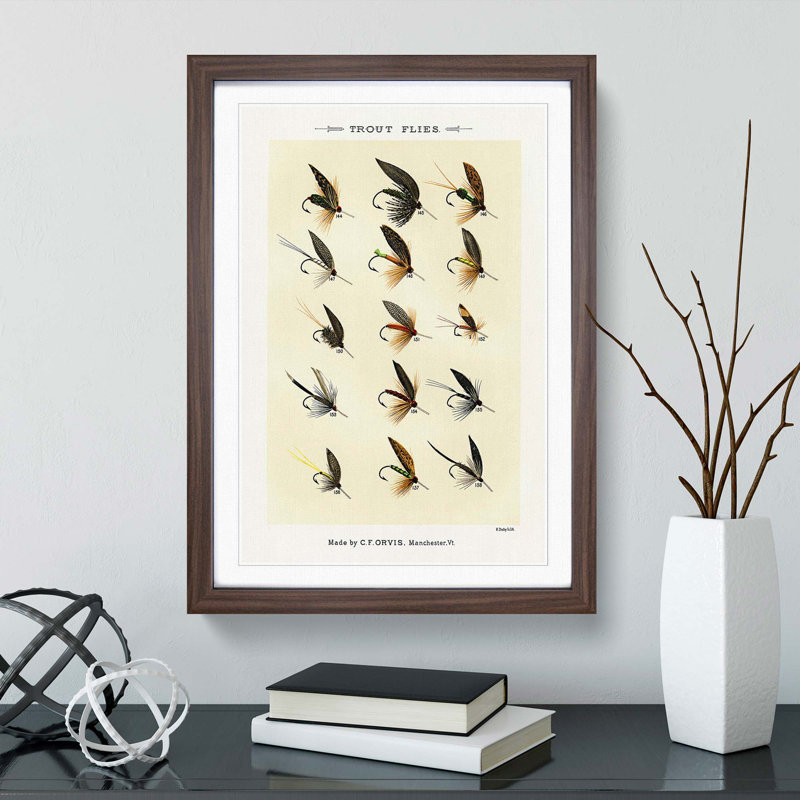 Trout Fishing Flies Version 7 by Mary Orvis Marbury - Picture Frame Painting Print, Walnut, 50cm H x 35cm W x 2cm D