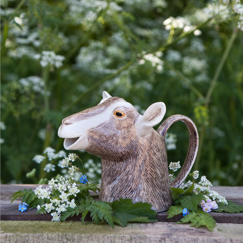 Jugs - Medium - Goat - Goat