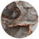 Alfonzo Washable Abstract Indoor / Outdoor Rug