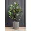 Demi Series Round Planter-83894853-86823201-83894854