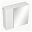 W H Medicine Cabinet Mirror