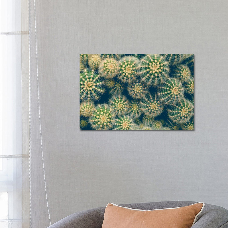 Cactus 1 Piece Wrapped Canvas Wall Art, 66.04 cm H x 45.72 cm W x 1.91 cm D
