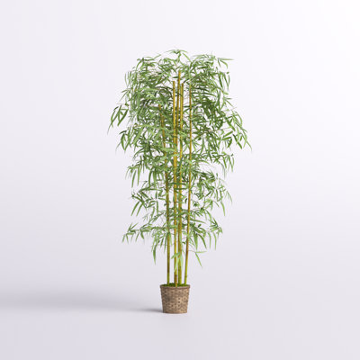 Silk Bamboo Tree in Basket